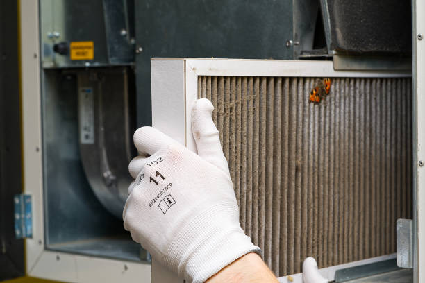 Best Ductwork Cleaning Services  in Johnson City, KS