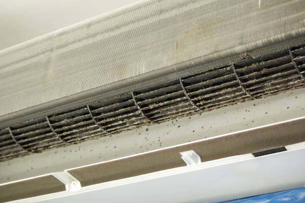 Best Duct Cleaning for Offices  in Johnson City, KS